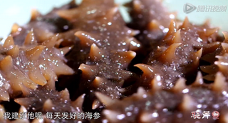 海參進補從娃娃抓起，兒童吃海參的好處！