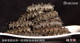 孝敬父母，為何首選海參？