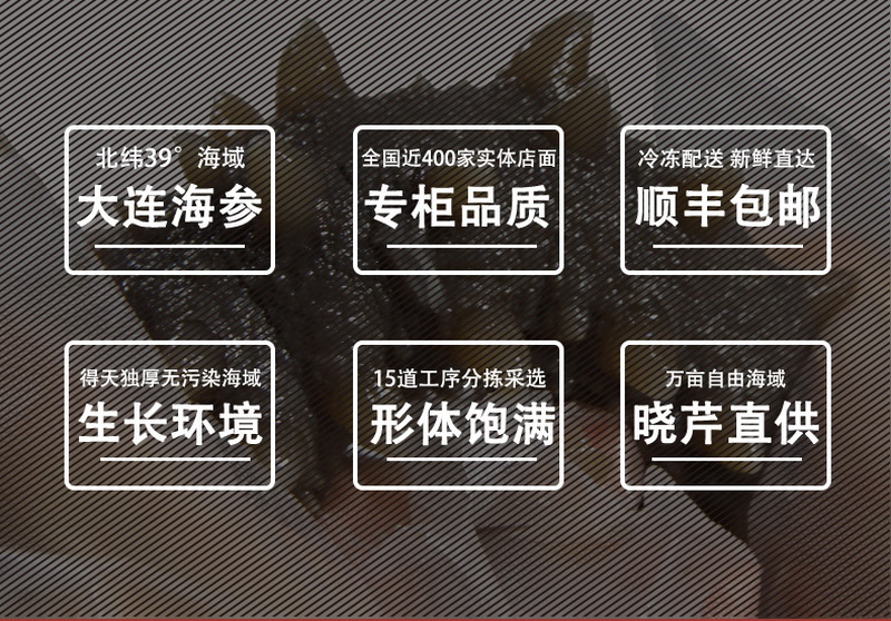 即食海參.jpg