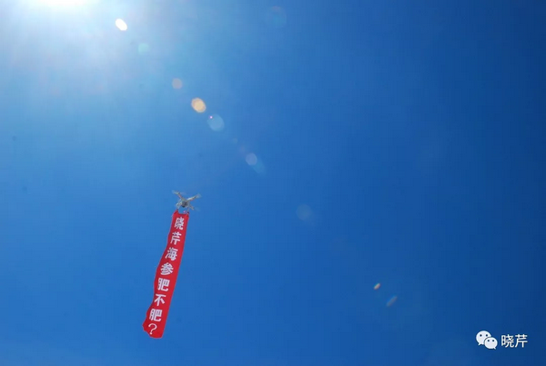 曉芹,海參,曉芹文化,曉芹海參,故事會(huì) 曉芹,海參,曉芹文化,曉芹海參,故事會(huì)