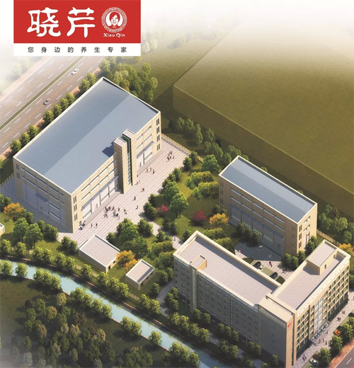 曉芹,海參,,曉芹海參,大連海參,曉芹二十周年 曉芹,海參,,曉芹海參,大連海參,曉芹二十周年