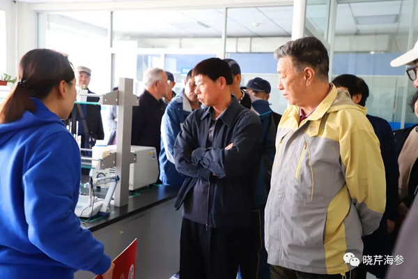 海參,曉芹海參,大連海參.jpg 海參,曉芹海參,大連海參.jpg