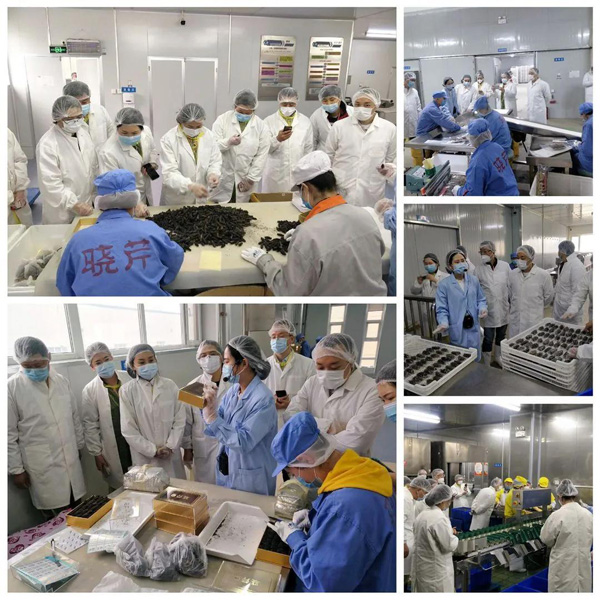 大連海參,曉芹海參,海參,食品協(xié)會(huì),食品,考察.jpg 大連海參,曉芹海參,海參,食品協(xié)會(huì),食品,考察.jpg