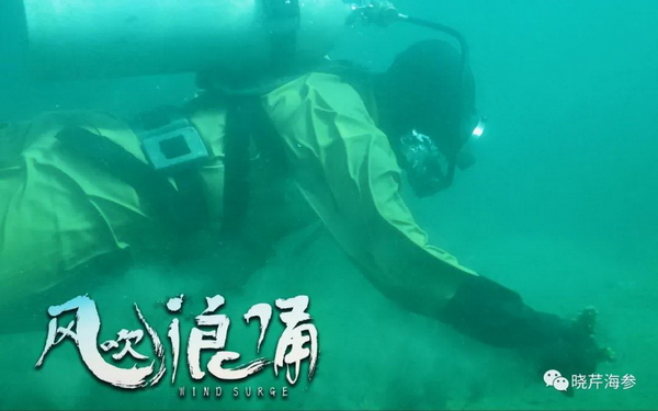 電影,風(fēng)吹浪涌,創(chuàng)業(yè),大連海參,曉芹海參,海參.jpg 電影,風(fēng)吹浪涌,創(chuàng)業(yè),大連海參,曉芹海參,海參.jpg